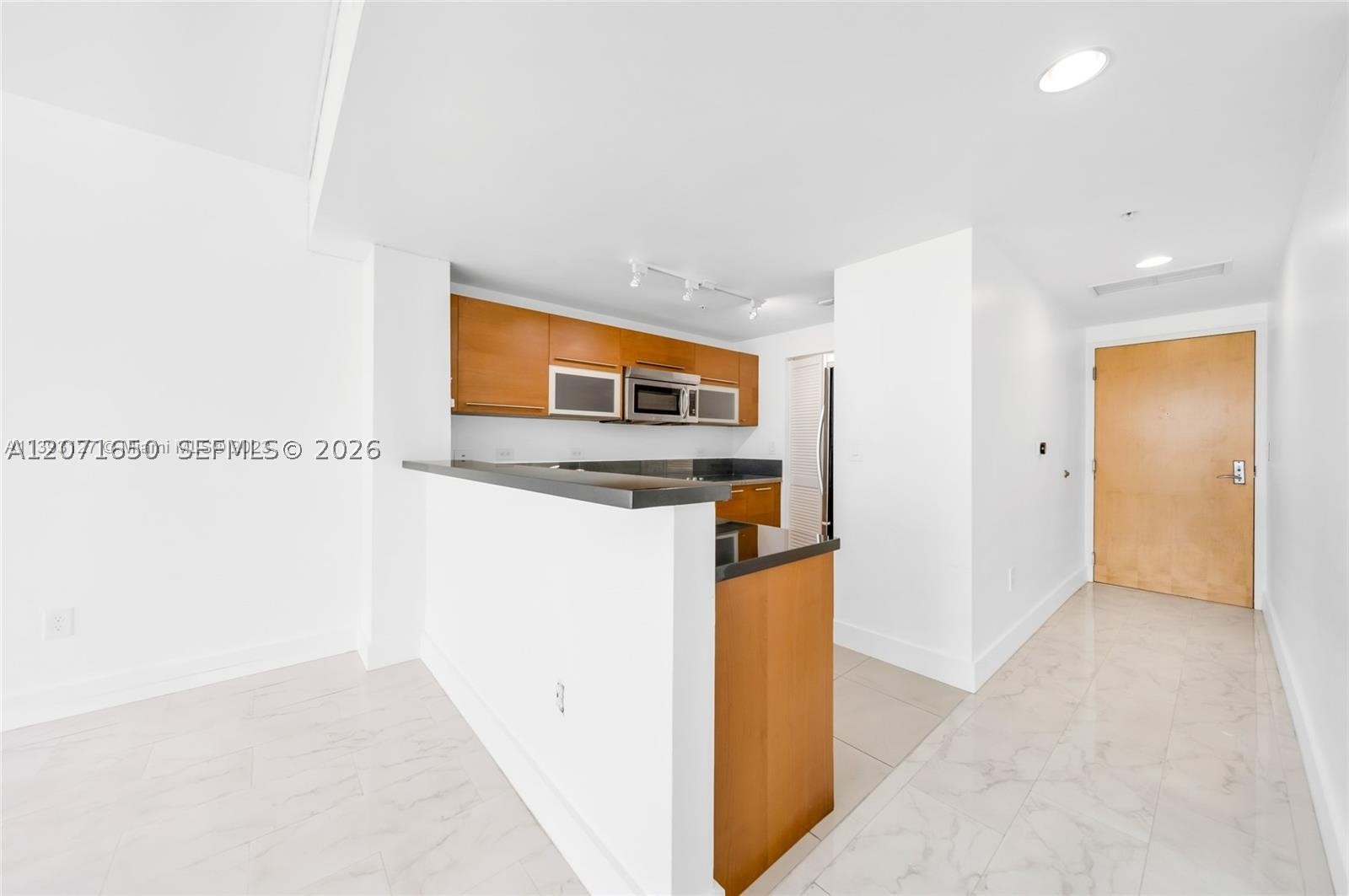 244 Biscayne Blvd 3704 Property Photo 8