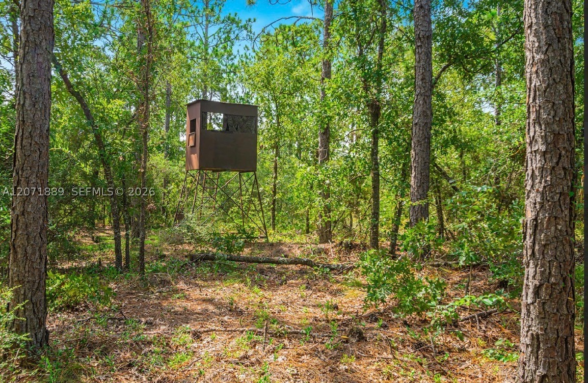 5263 Coy Burgess Loop Property Photo 26