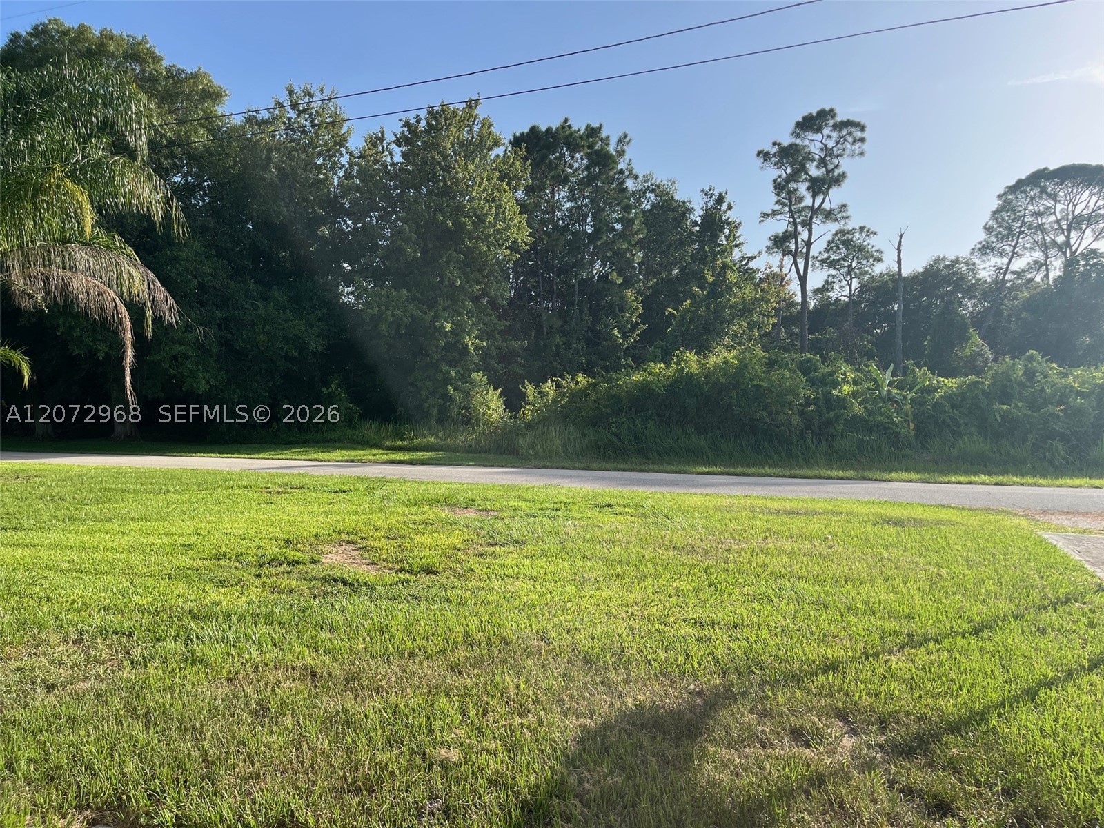 1052 Lake Carrie Dr Property Photo 6