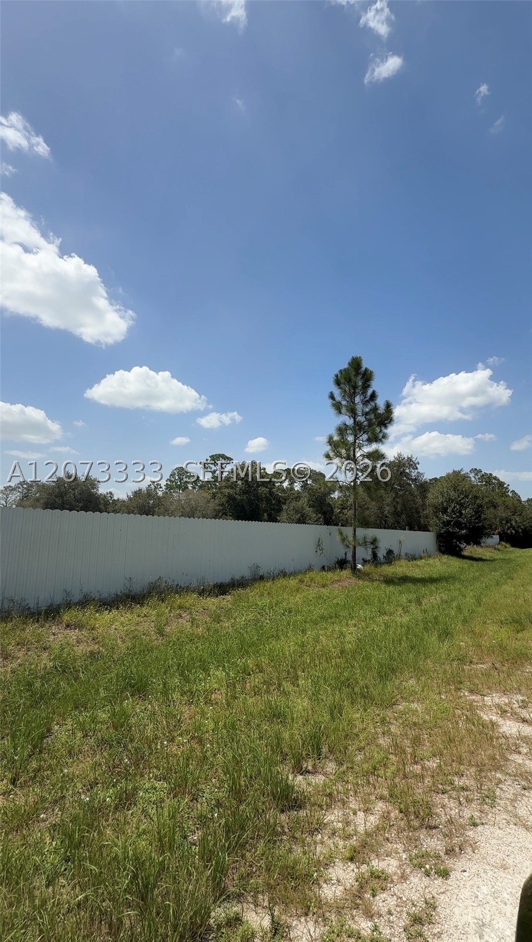 850 S Jasmine St Property Photo 3