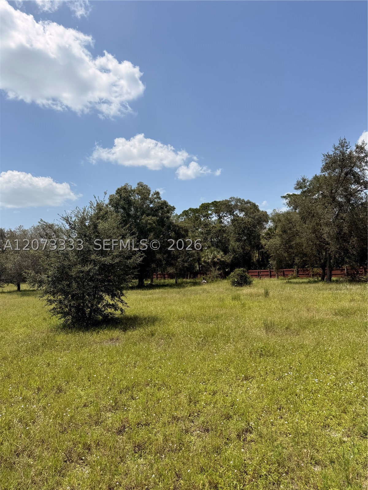 850 S Jasmine St Property Photo 4