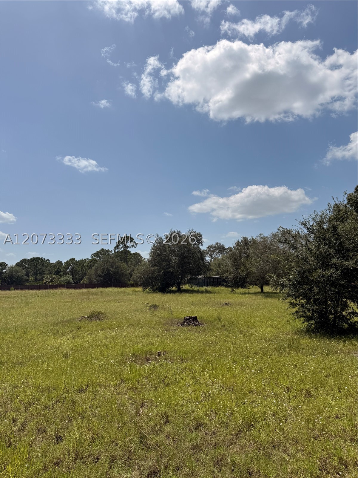 850 S Jasmine St Property Photo 5
