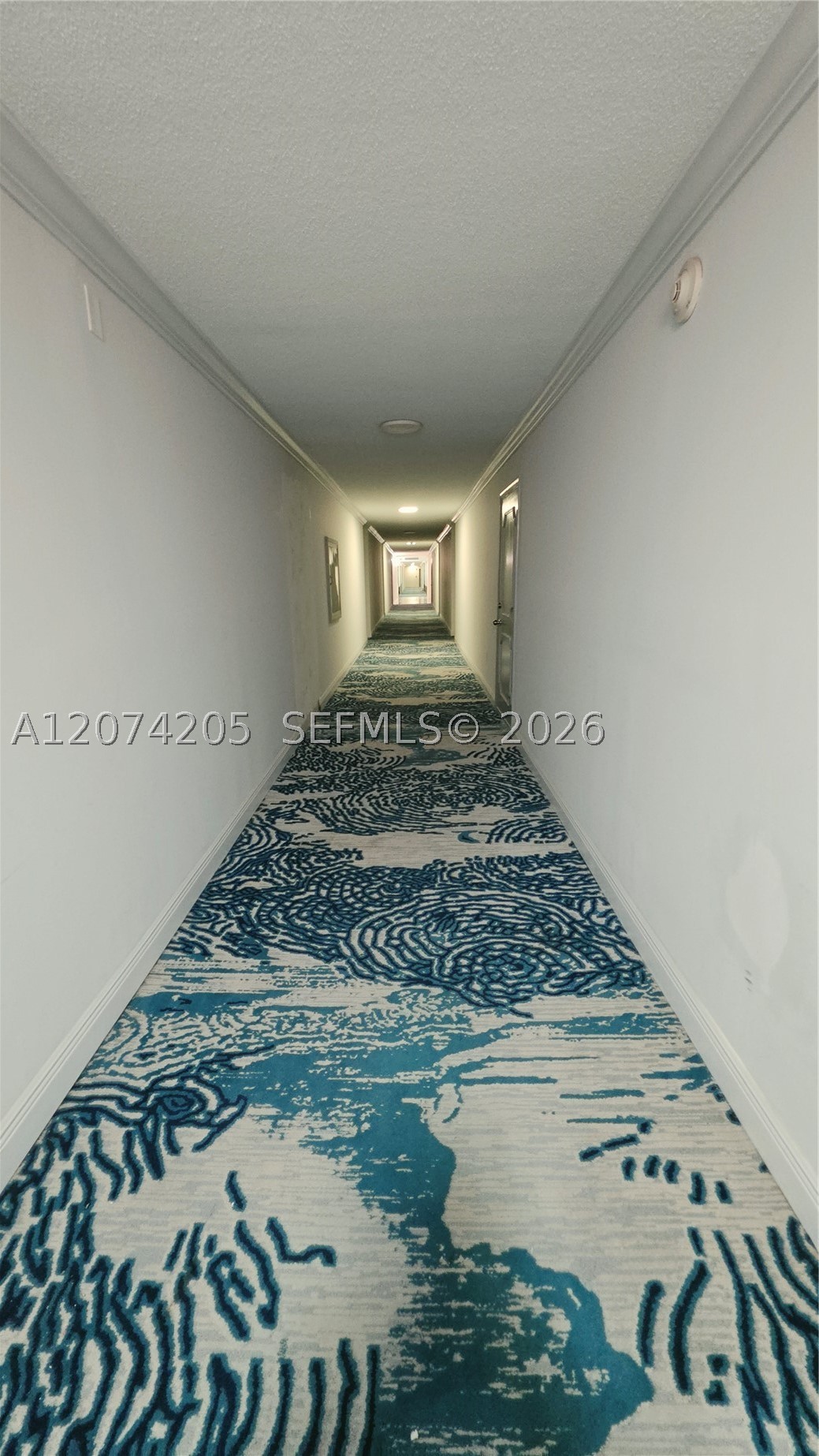 1849 S Ocean Dr 202 Property Photo 4