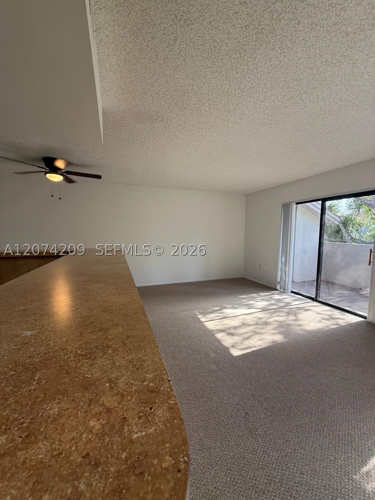 3228 Coral Lake Dr 3228 Property Photo 10