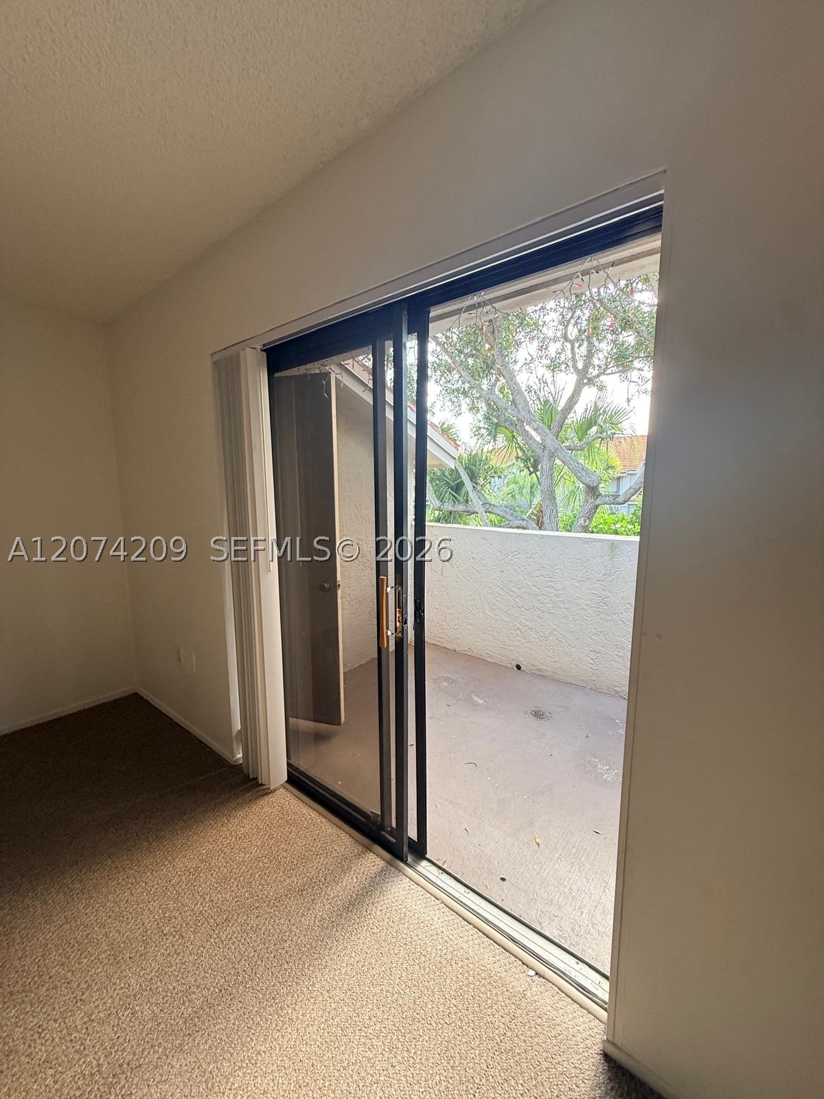 3228 Coral Lake Dr 3228 Property Photo 23