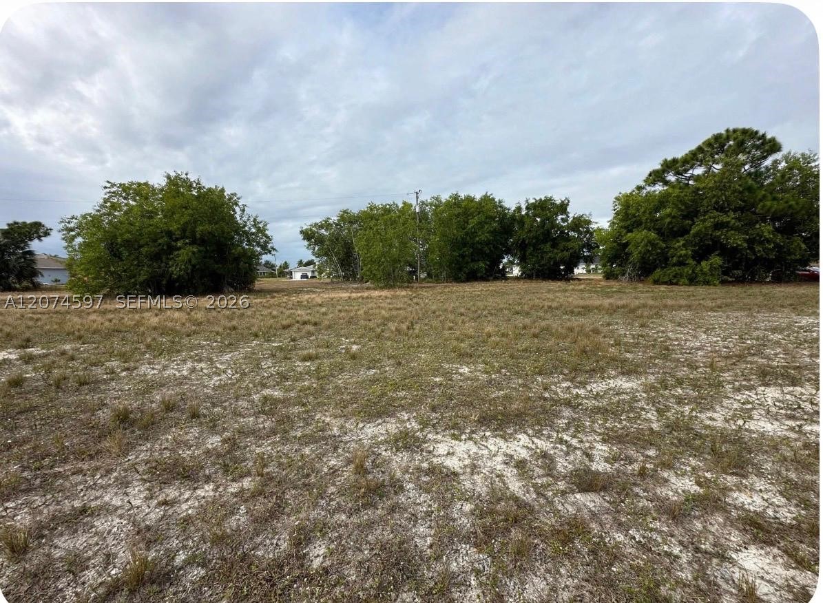806 Skyline Property Photo 1