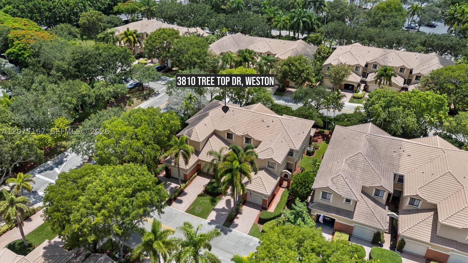3810 Tree Top Dr Property Photo 37