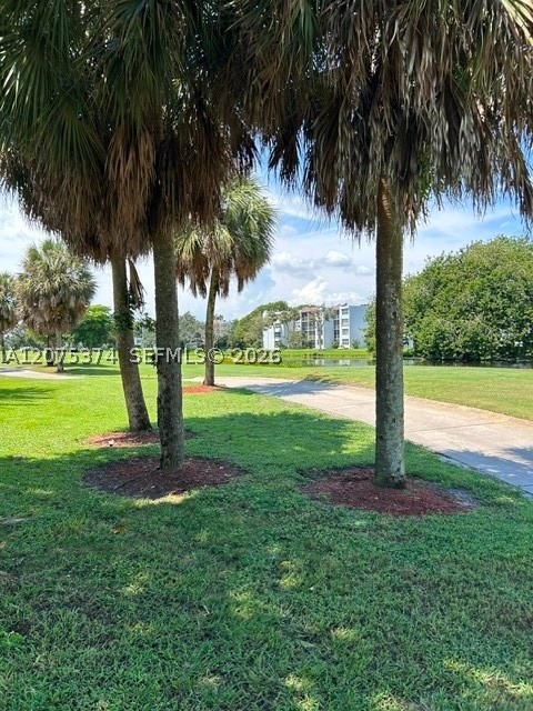 1811 Sabal Palm Dr 204 Property Photo 30