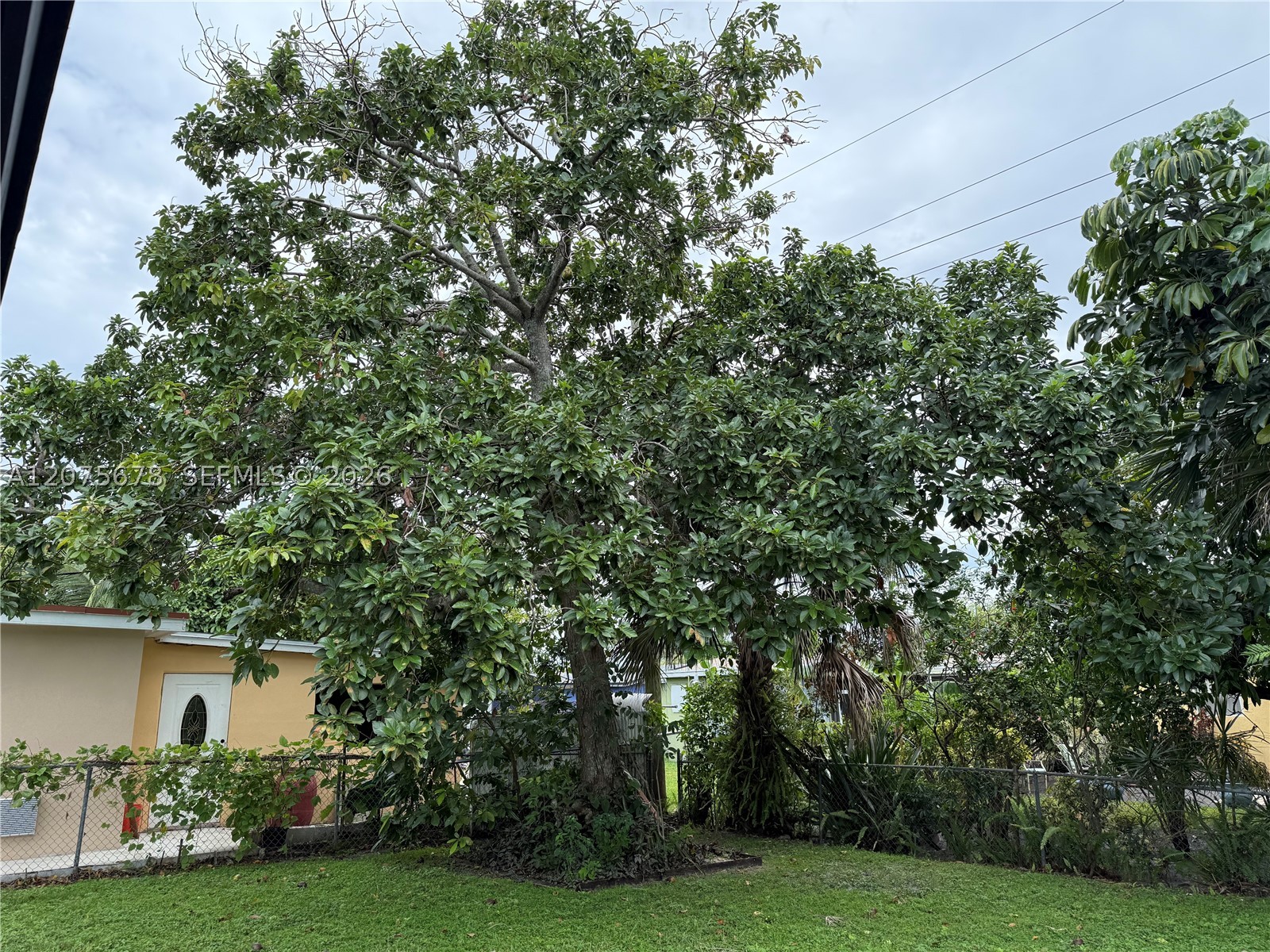 7630 Venetian St Property Photo 21