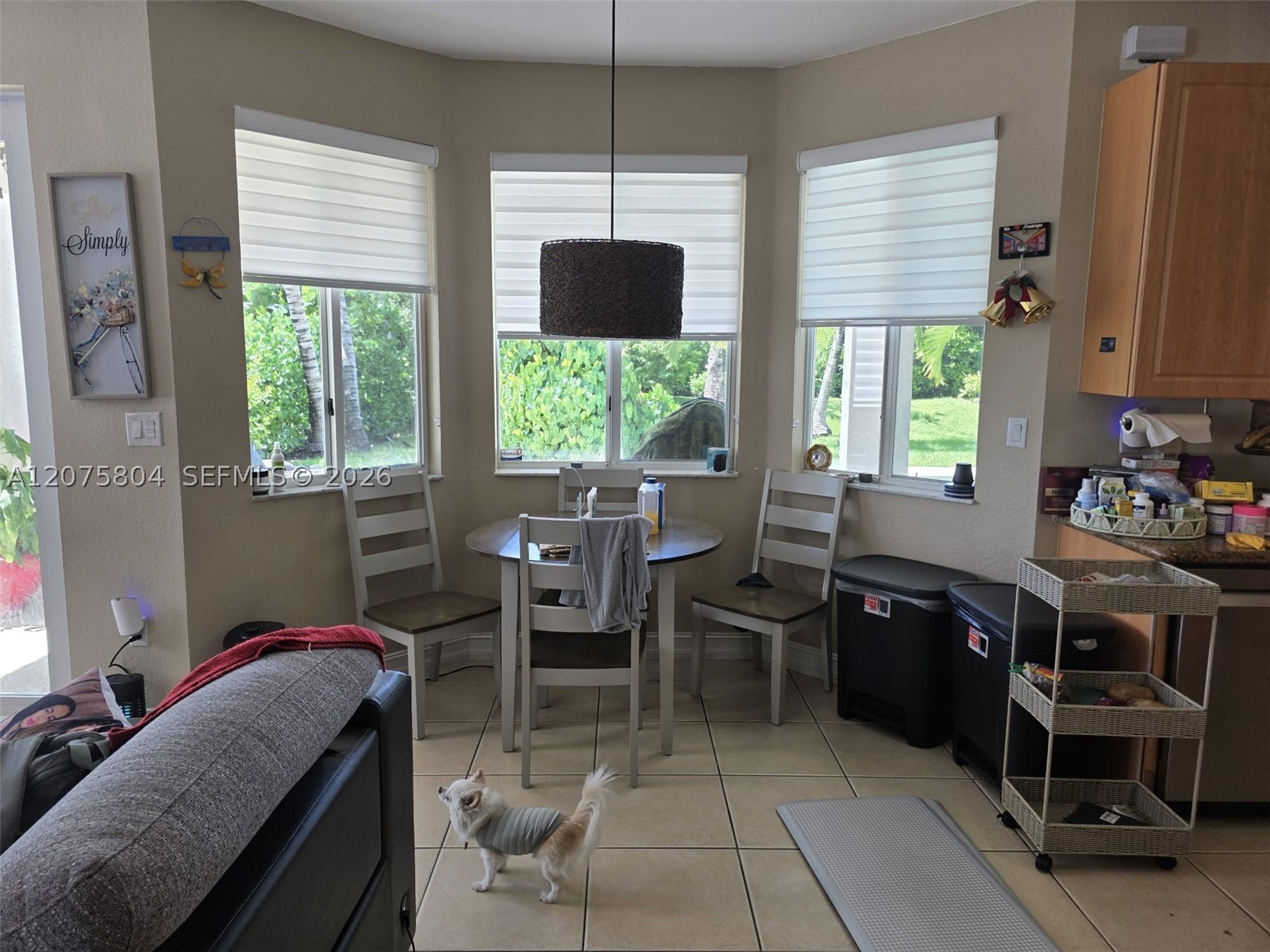 A12075804 Property Photo 16