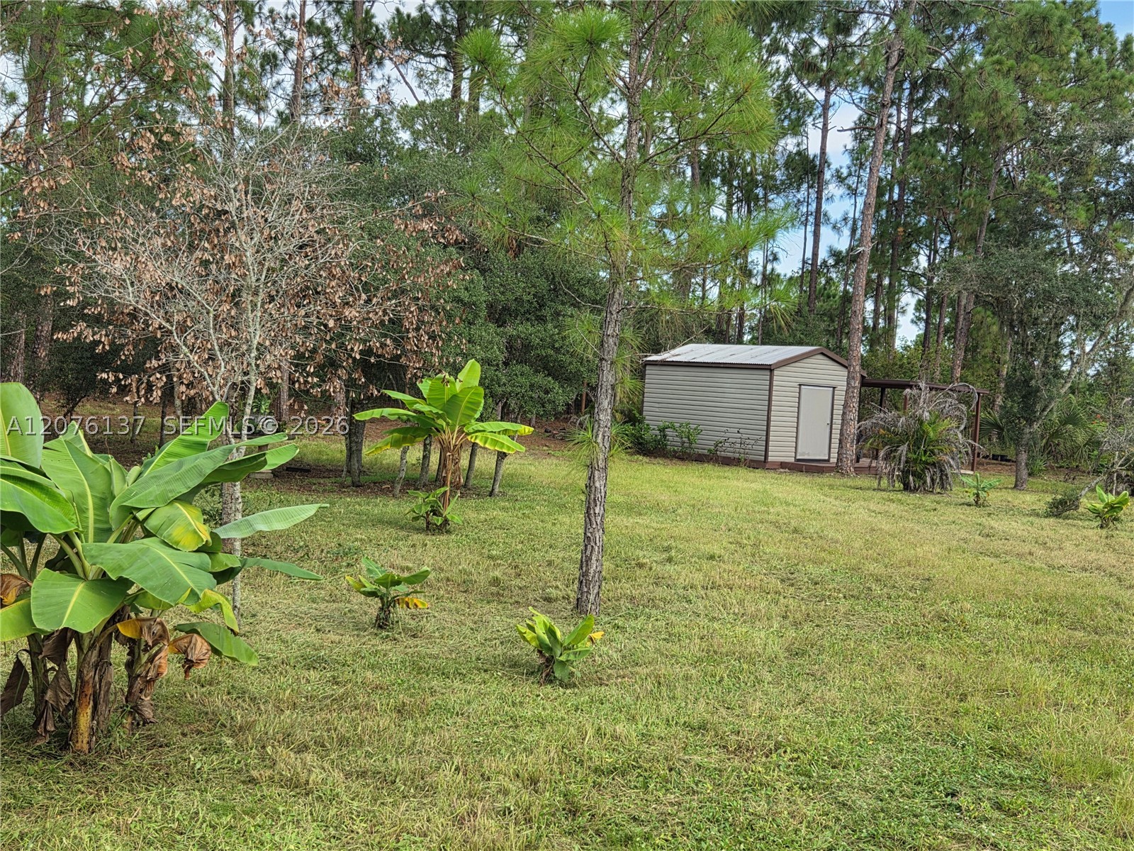 345 Rolling Hills Dr Property Photo 7