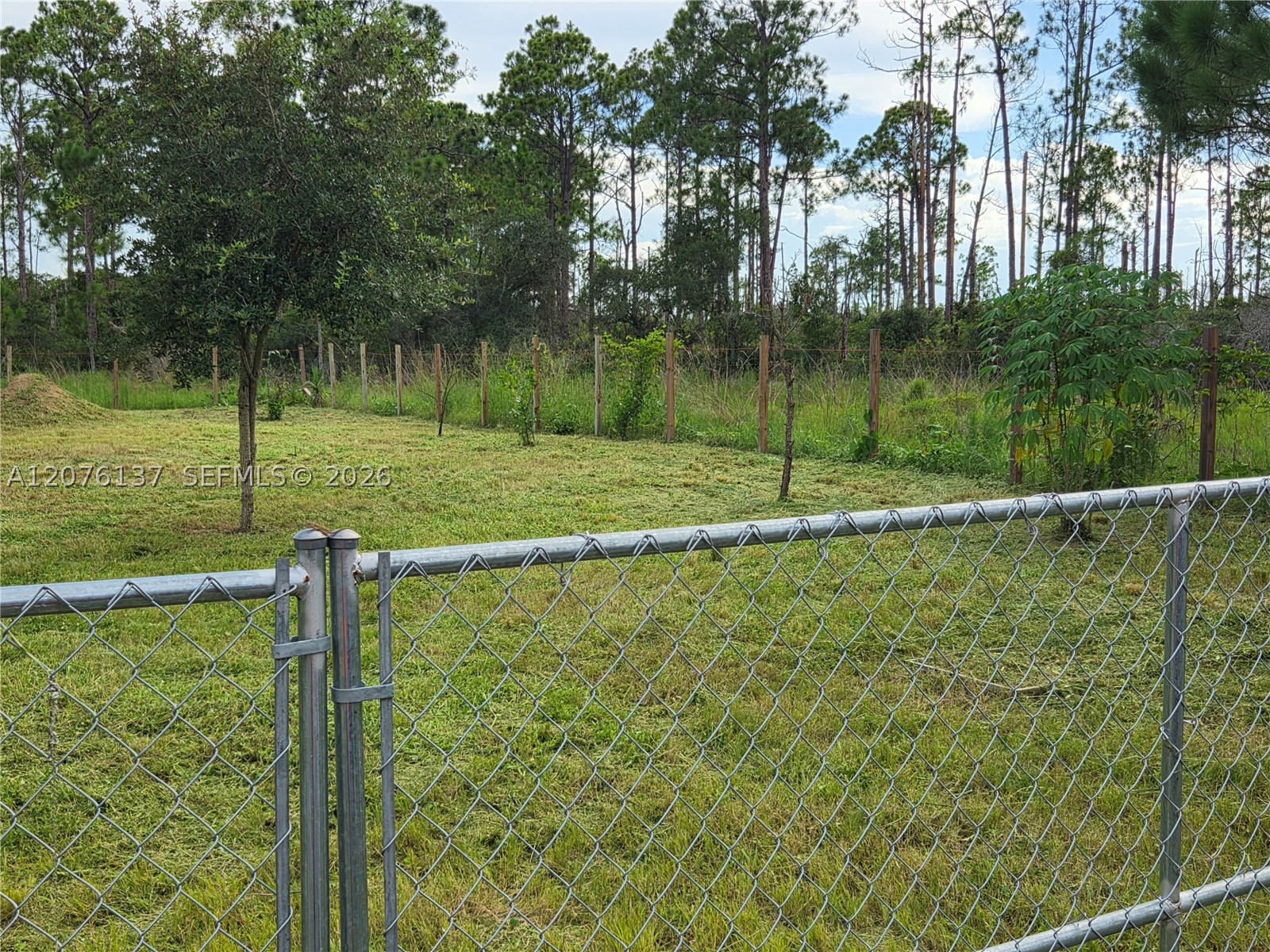 345 Rolling Hills Dr Property Photo 16