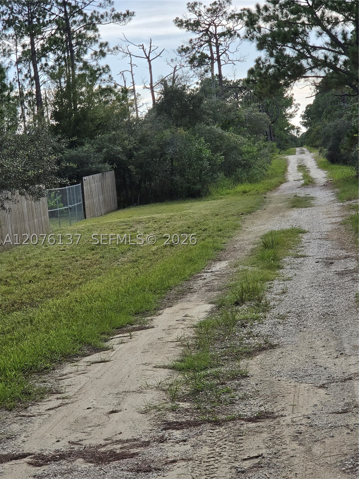 345 Rolling Hills Dr Property Photo 24