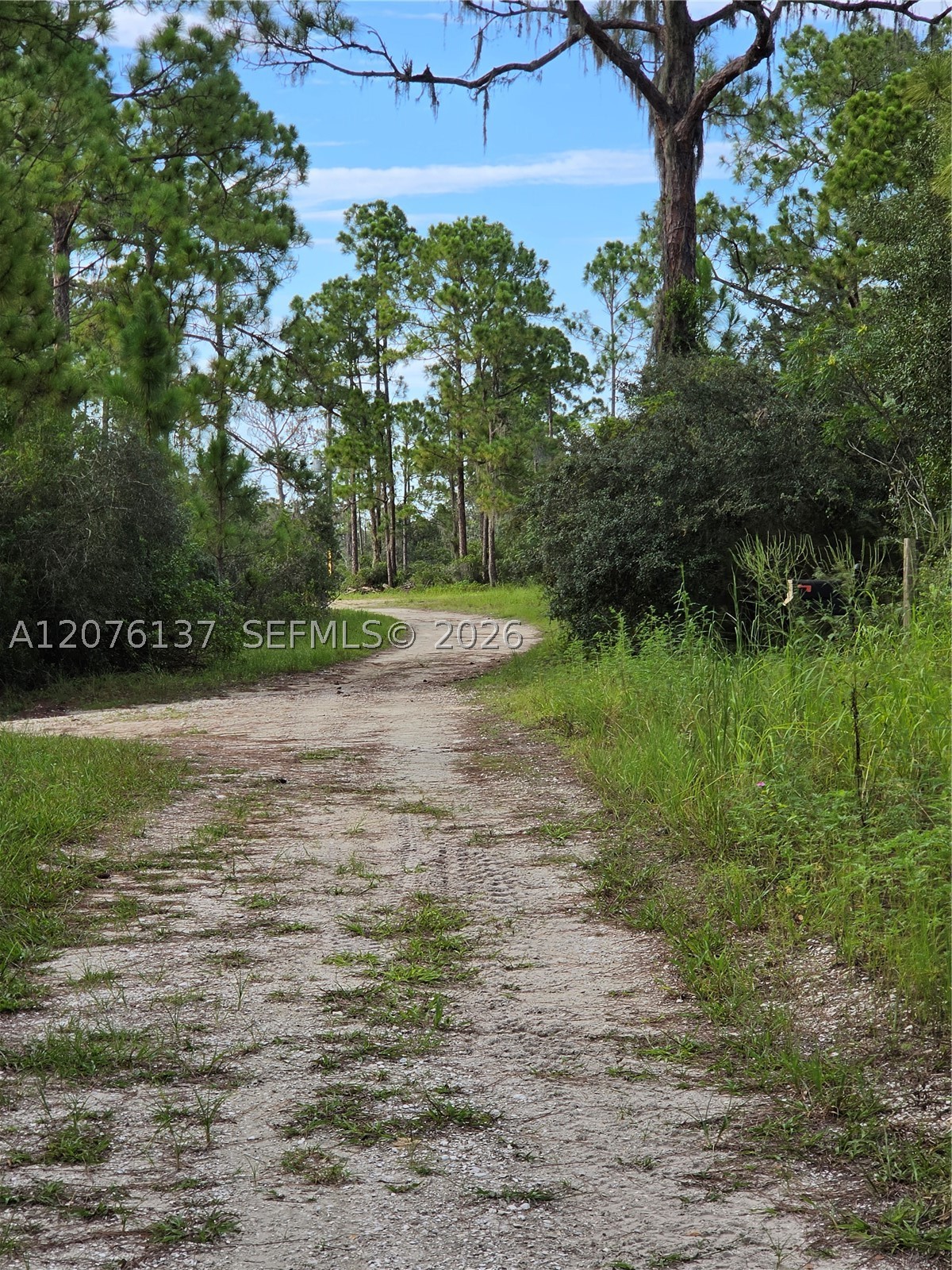 345 Rolling Hills Dr Property Photo 26