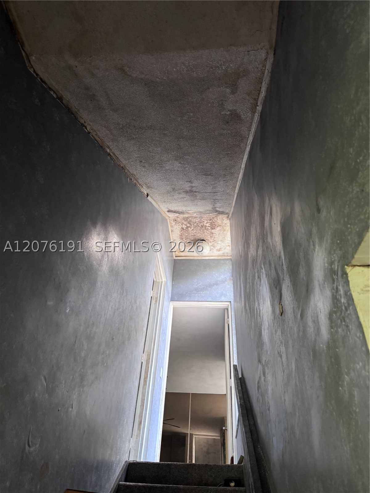 3024 Day Ave 3024 Property Photo 52