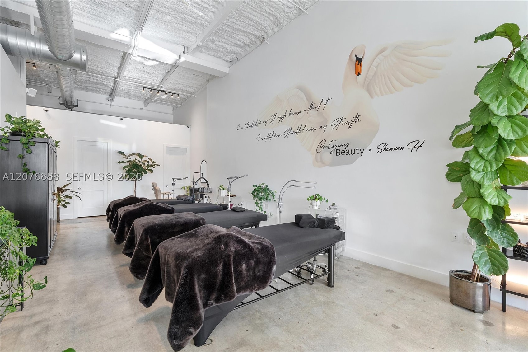 A12076888 Property Photo 10