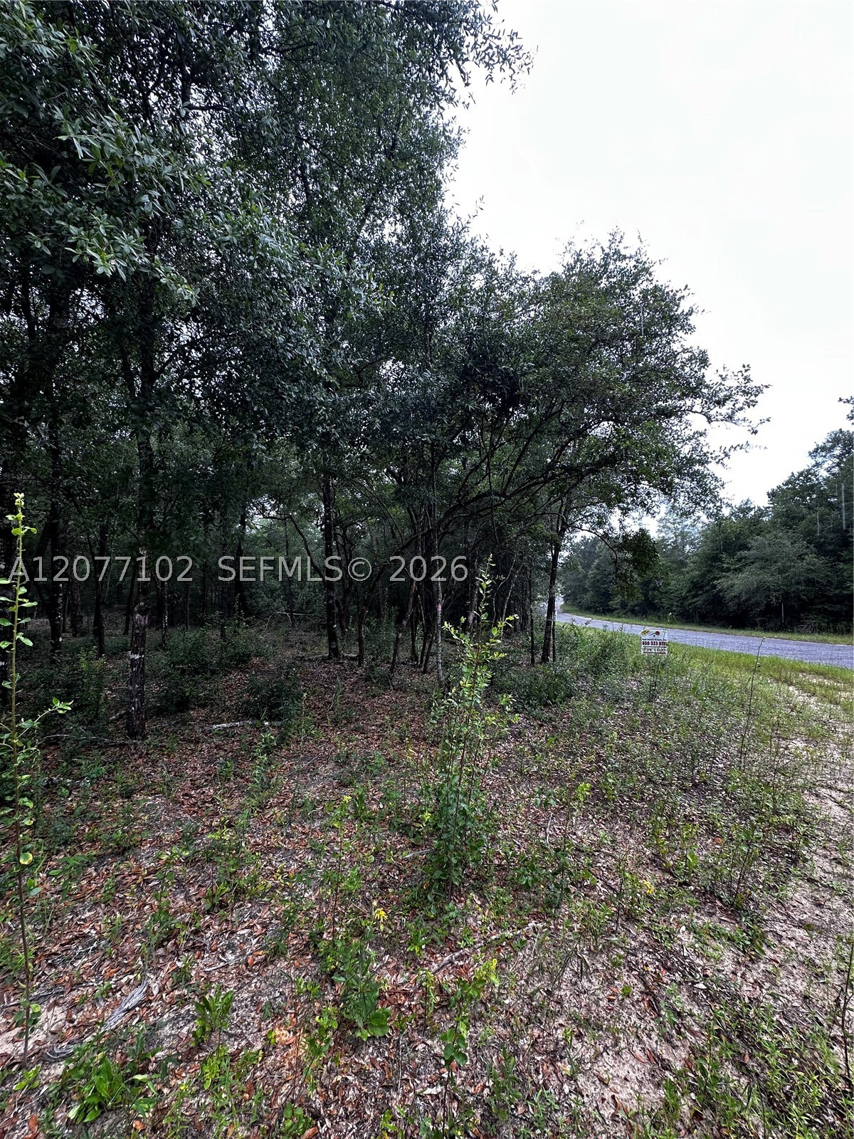 0000 Diane Place Property Photo 2