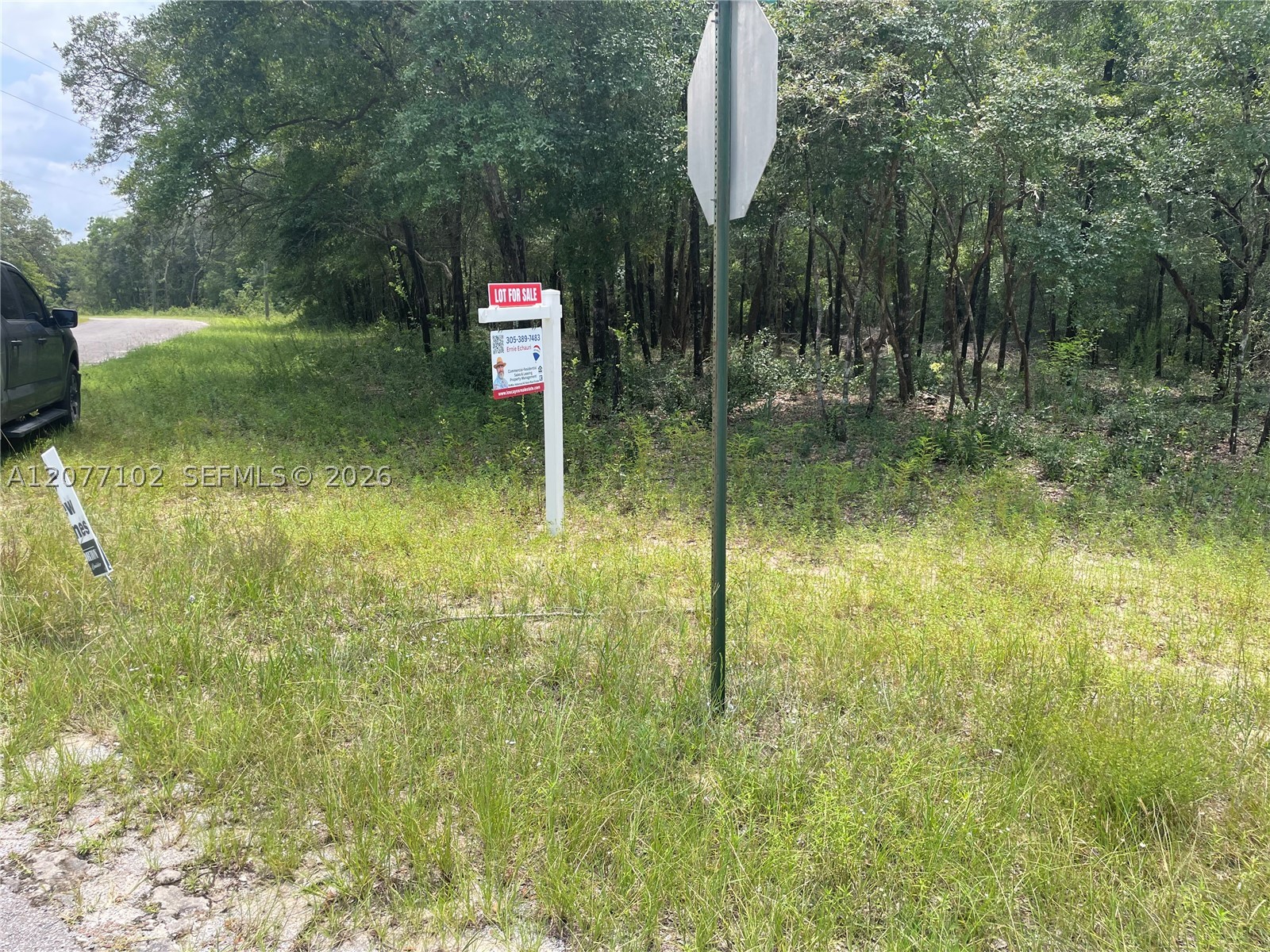 0000 Diane Place Property Photo 11