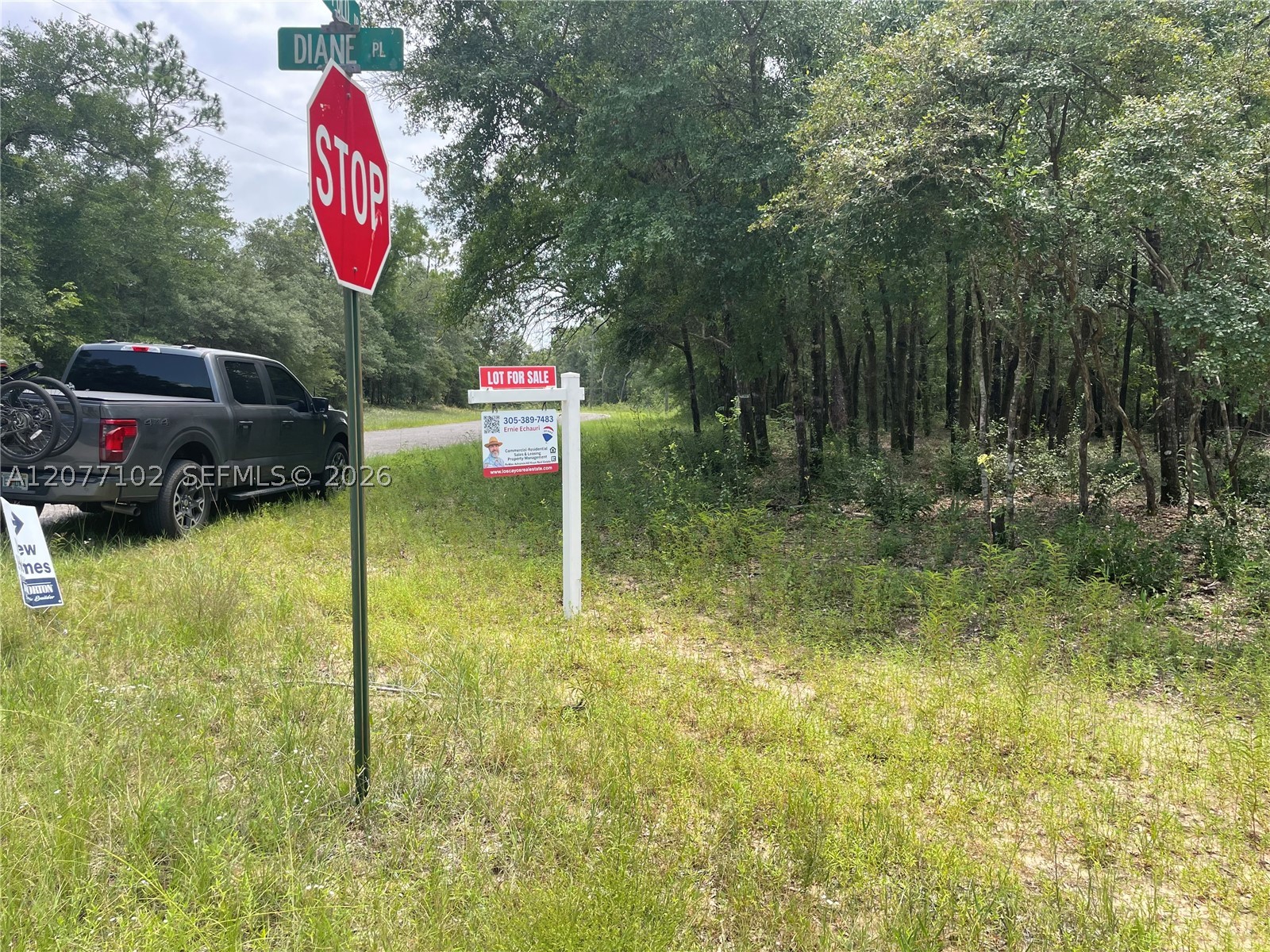 0000 Diane Place Property Photo 13