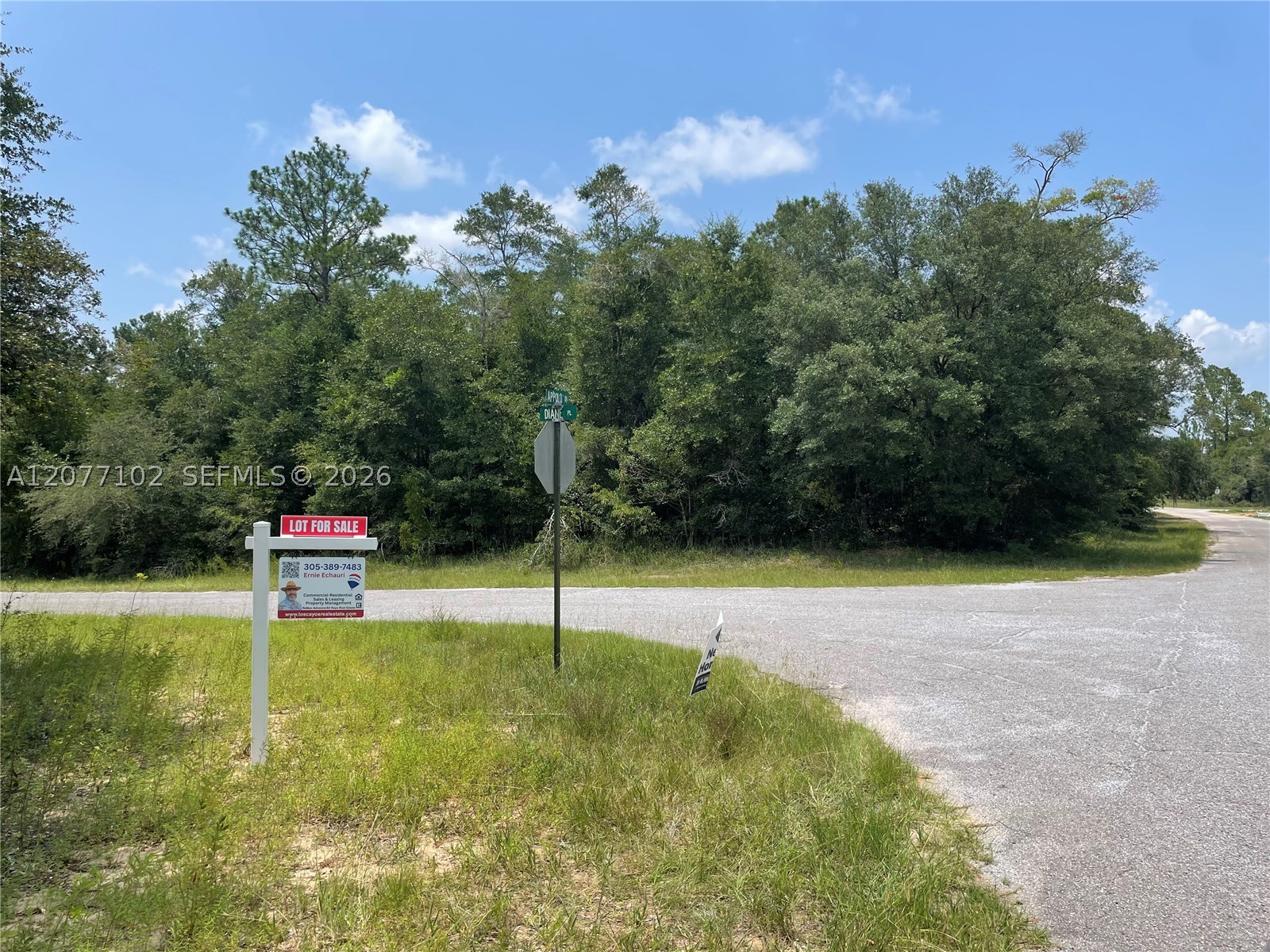 0000 Diane Place Property Photo 14