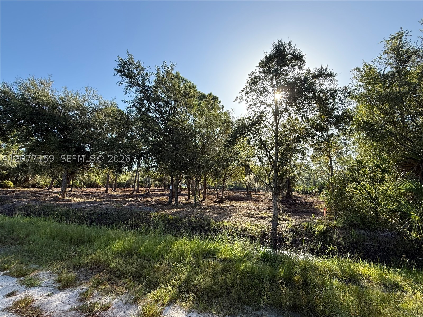 565 S Palomino St Property Photo 19