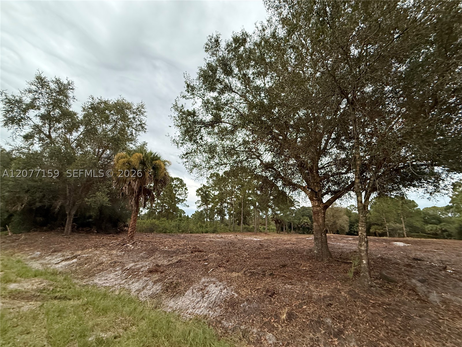 565 S Palomino St Property Photo 22