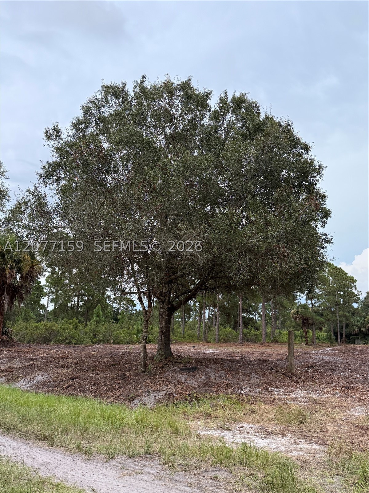 565 S Palomino St Property Photo 23