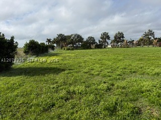 135 Sunset Pointe Blvd Property Photo 16