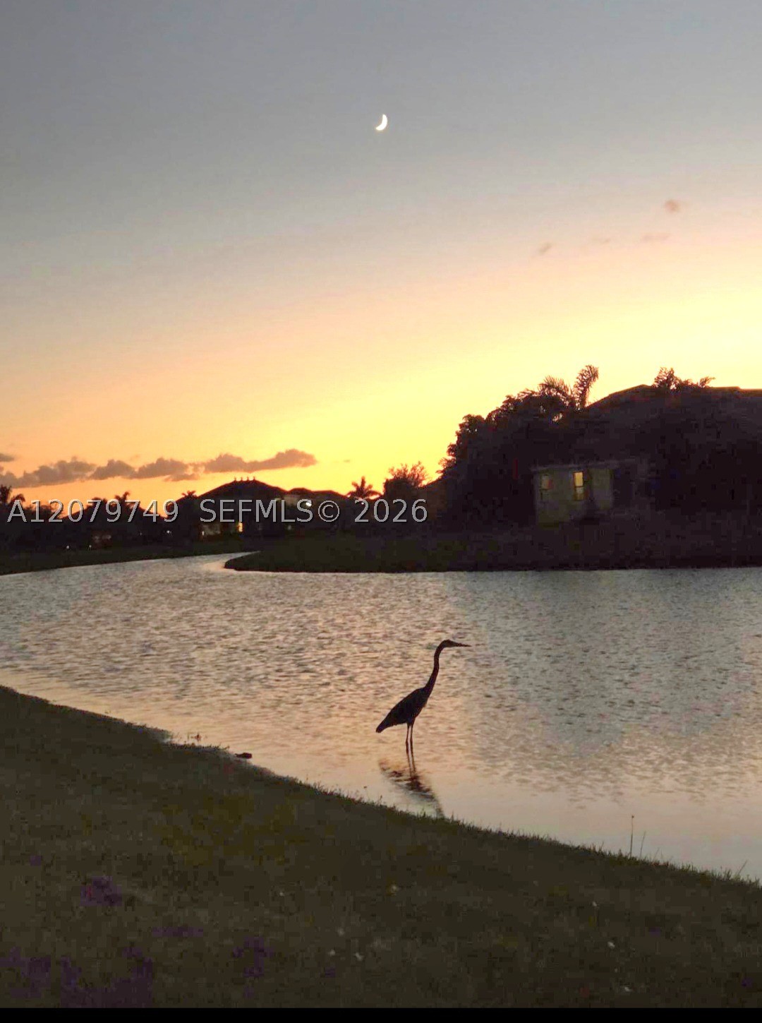 2919 Trasona Dr Property Photo 34