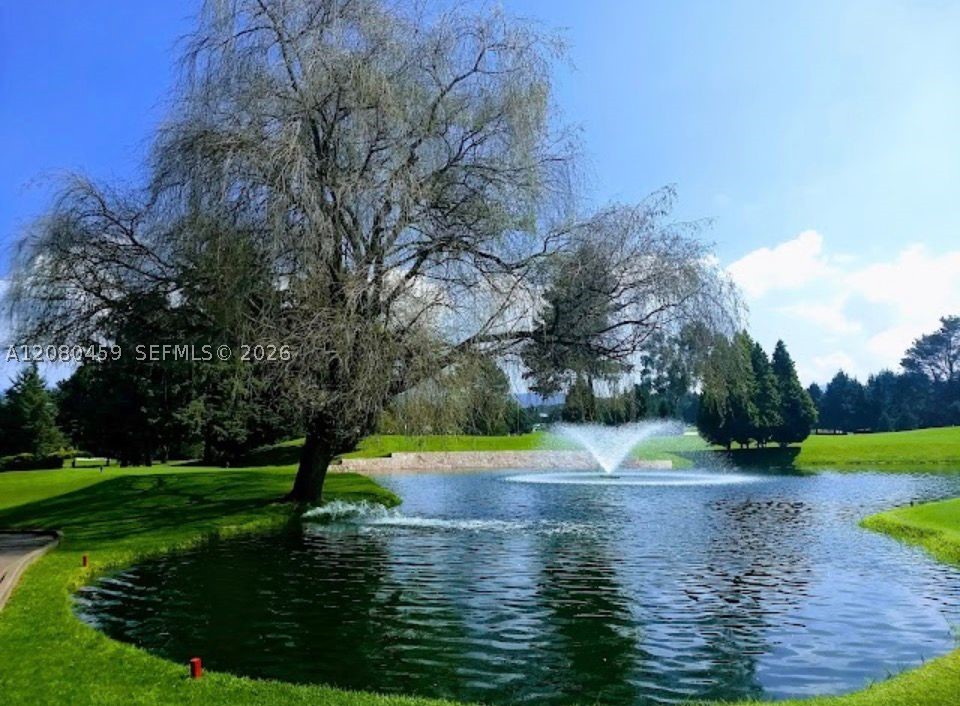 Calle De Paseo De Olivos 3 Property Photo 7
