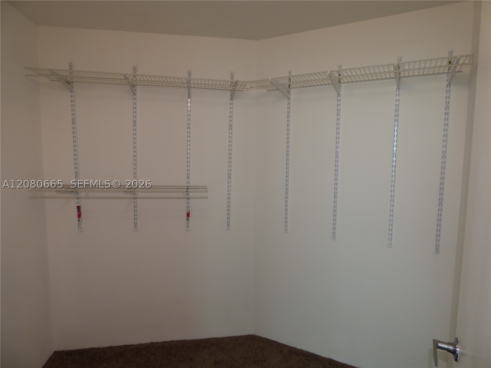 1900 N Bayshore Dr 2905 Property Photo 8