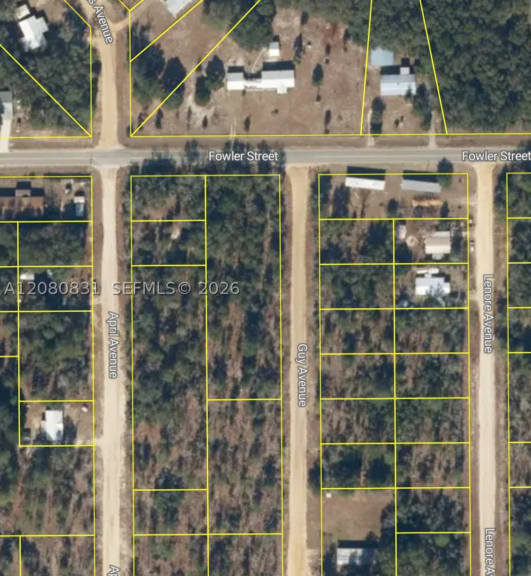 0 Guy Avenue Property Photo 3