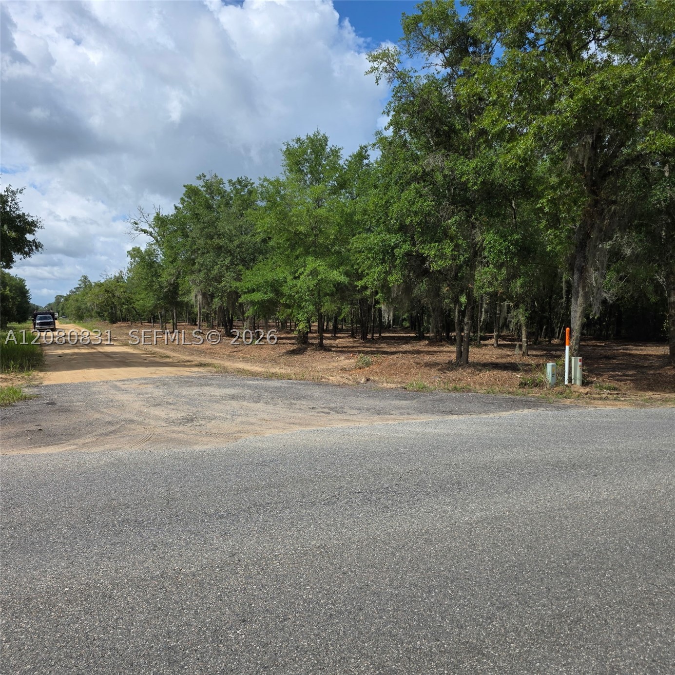 0 Guy Avenue Property Photo 6