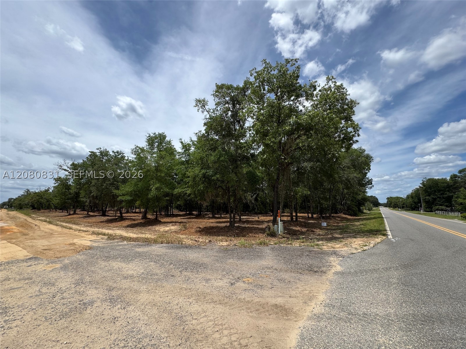0 Guy Avenue Property Photo 9