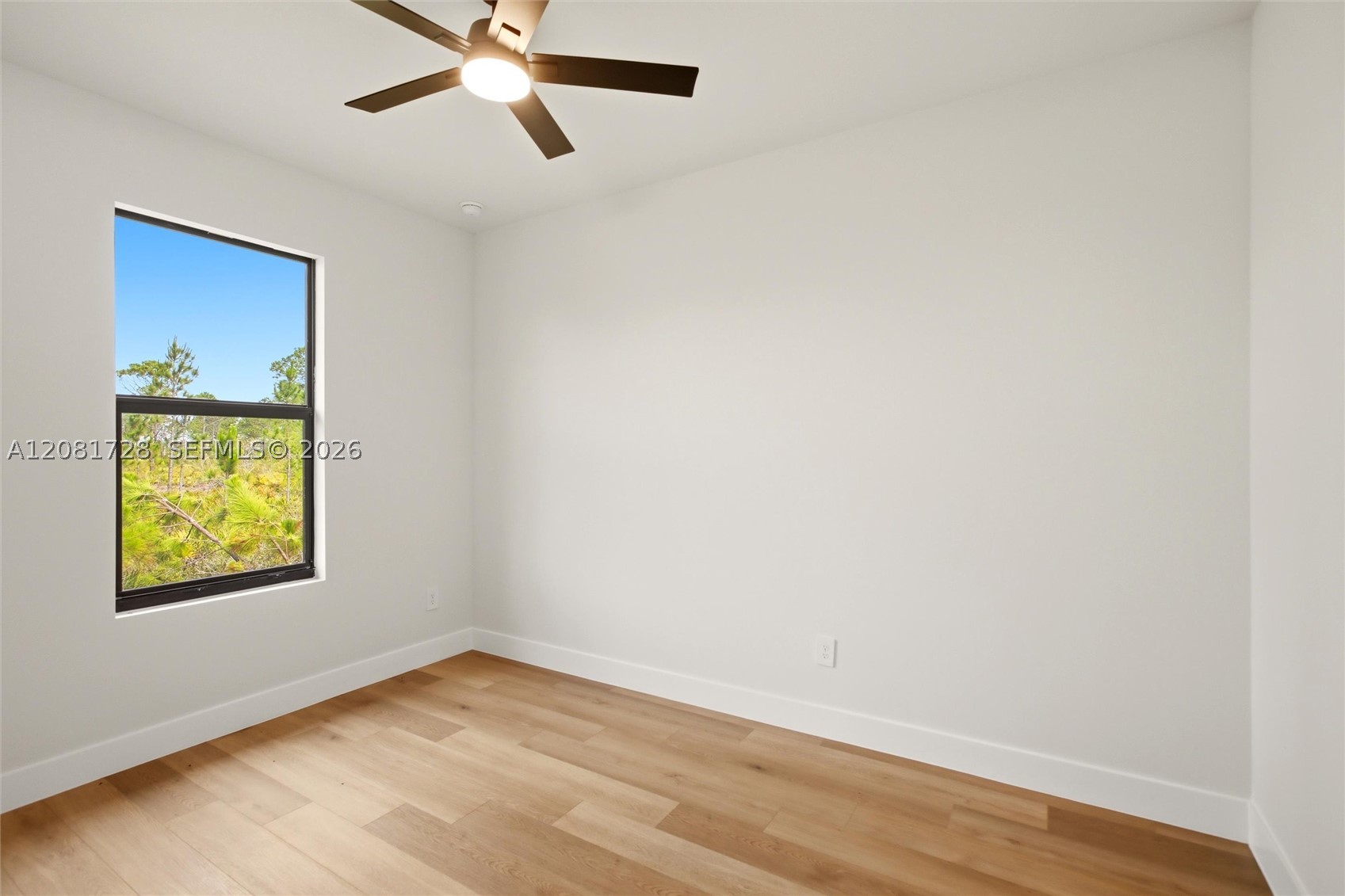 7800 Domenico St Property Photo 20