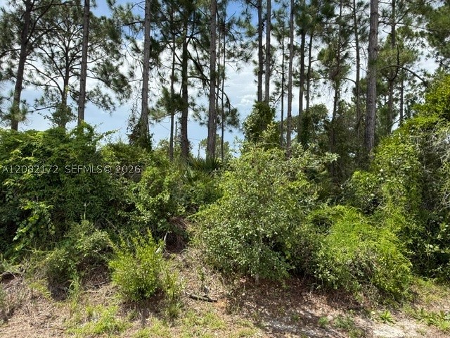 3607 Peugeot St Property Photo 3