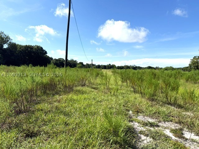 3003 Hicks Rd Property Photo 2