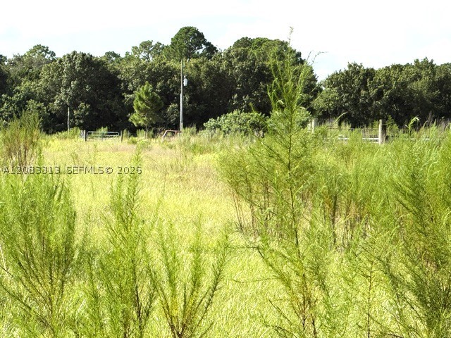 3003 Hicks Rd Property Photo 3