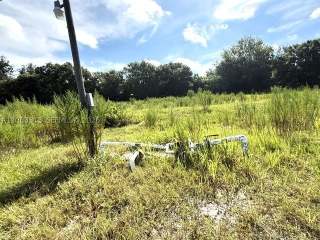 3003 Hicks Rd Property Photo 5