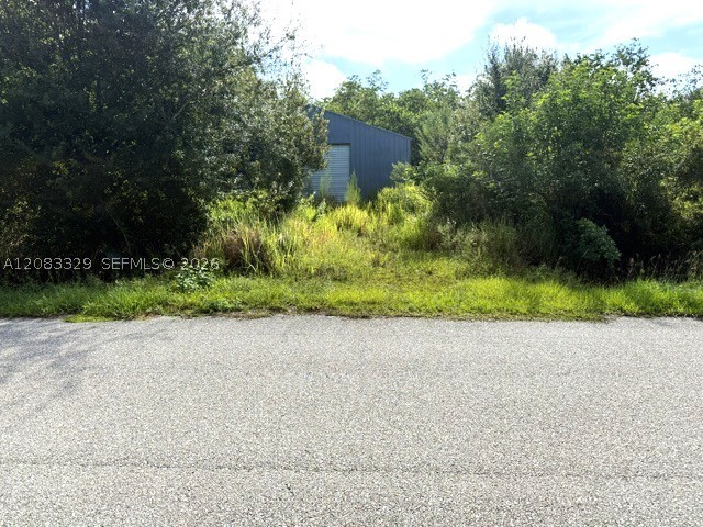 2524 Gem Stone Ave Property Photo 1