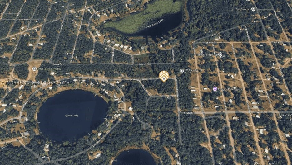 [107] Carnation St Property Photo 5