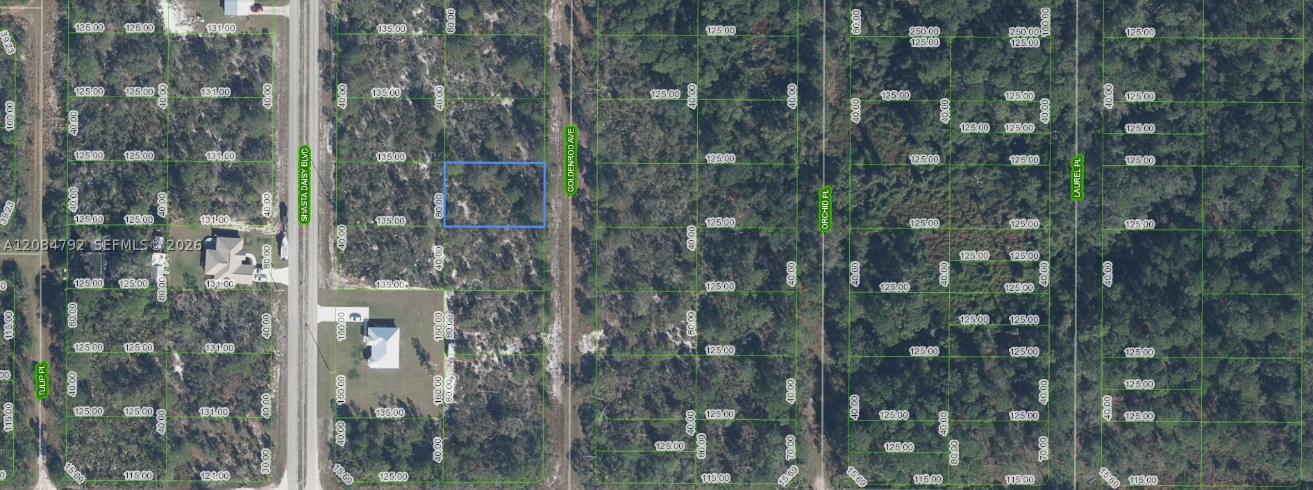 7019 Goldenrod Avenue Property Photo 1