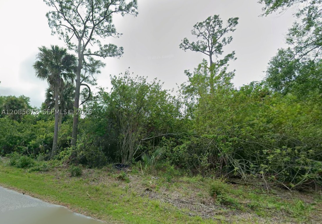 23351 Buckner Ave Property Photo 3