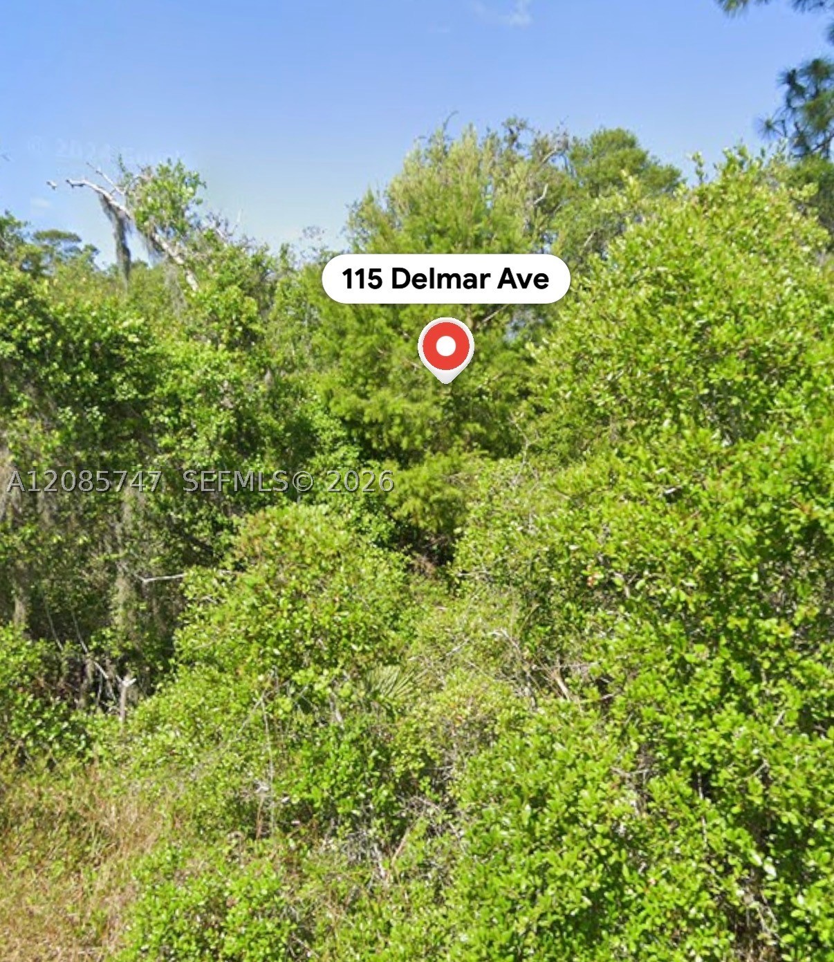 115 Delmar Ave Property Photo