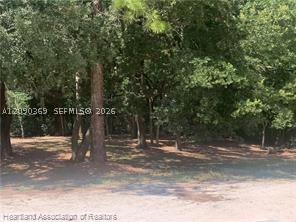 2326 W Barben Road Property Photo 4