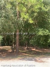 2326 W Barben Road Property Photo 22