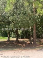2326 W Barben Road Property Photo 24