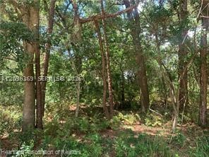 2326 W Barben Road Property Photo 26