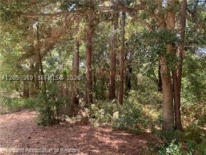 2326 W Barben Road Property Photo 27