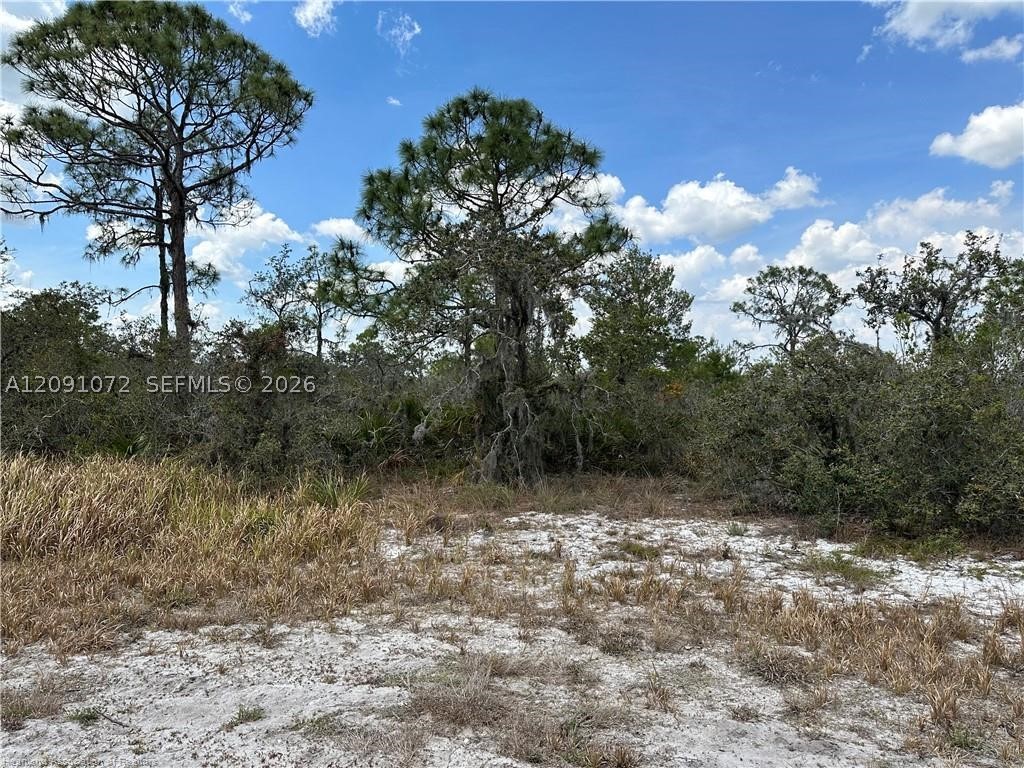 5128 Coruna Ave Property Photo 7